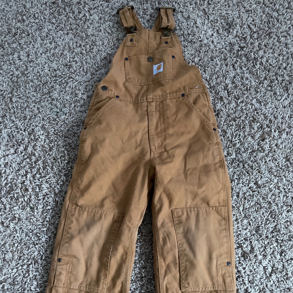 Carhartt insulated coveralls